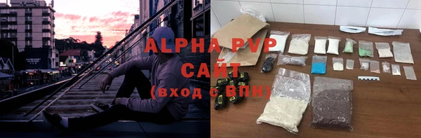стаф Алзамай