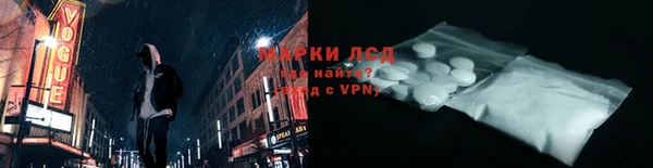 стаф Алзамай