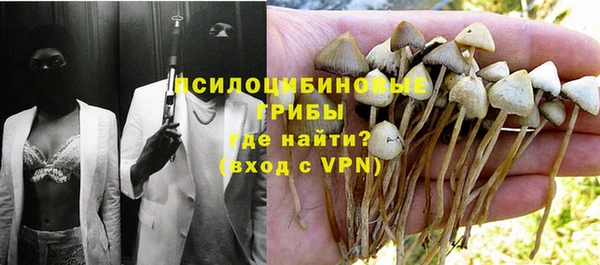 стаф Алзамай