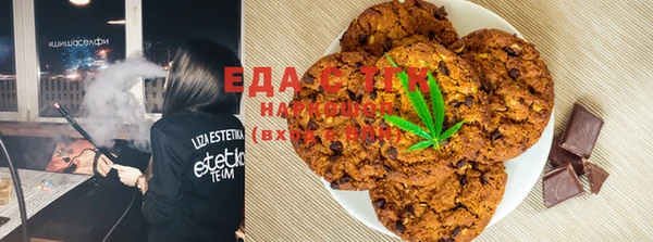 стаф Алзамай