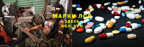 стаф Алзамай
