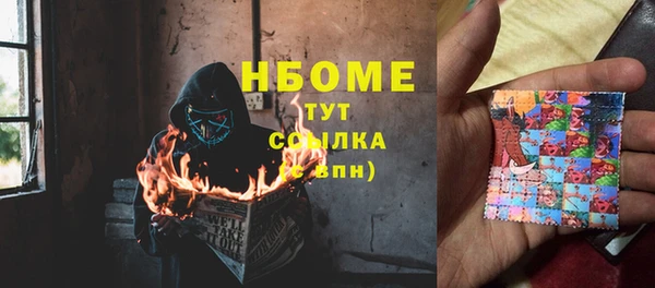 стаф Алзамай