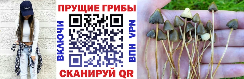 даркнет сайт  Джанкой  Псилоцибиновые грибы Cubensis 