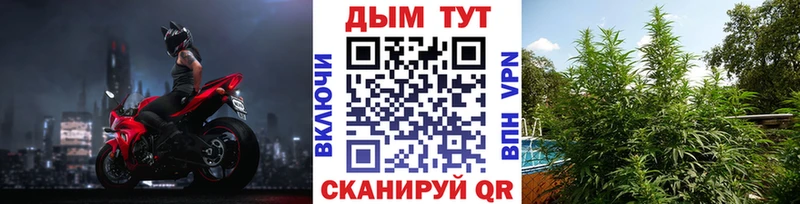 Бошки Шишки сатива  наркота  Джанкой 